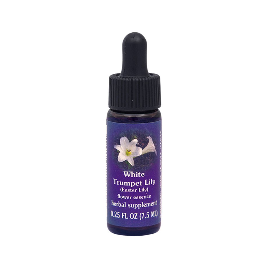 easter lily flower essence tincture FES Organic Quintessentials Flower Essence White Trumpet Lily (Easter – The  Vitamins Shoppe