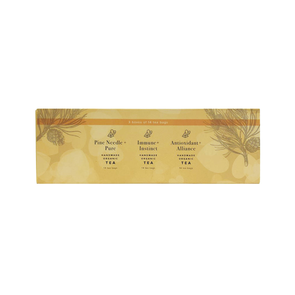 The Heart Centred Herb Company Pine Needle + Pack (contains: 14 Tea Bag x 3 Pack)